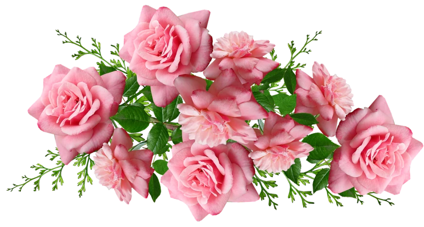 a bouquet of pink roses on a black background, a digital rendering, inspired by Jan Henryk Rosen, 1128x191 resolution, 1 6 x 1 6, link, wide screenshot