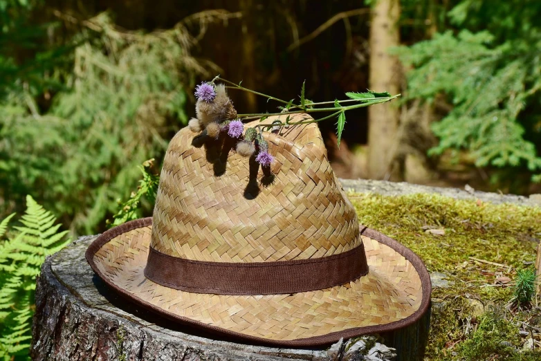 a straw hat sitting on top of a tree stump, a portrait, by Linda Sutton, pixabay, herbs and flowers, finnish naturalism, deerstalker, handmade