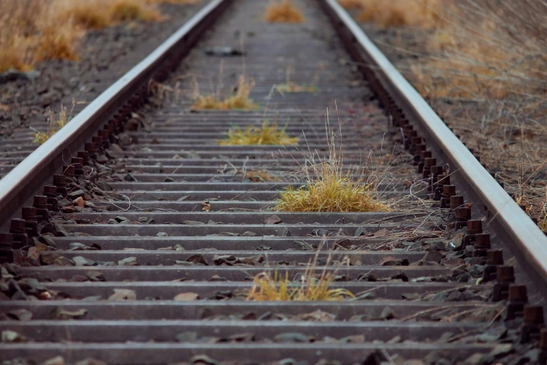 a close up of a train track near a field, a portrait, by Richard Carline, pexels, losing control over one's life, plain background, narrow, flattened