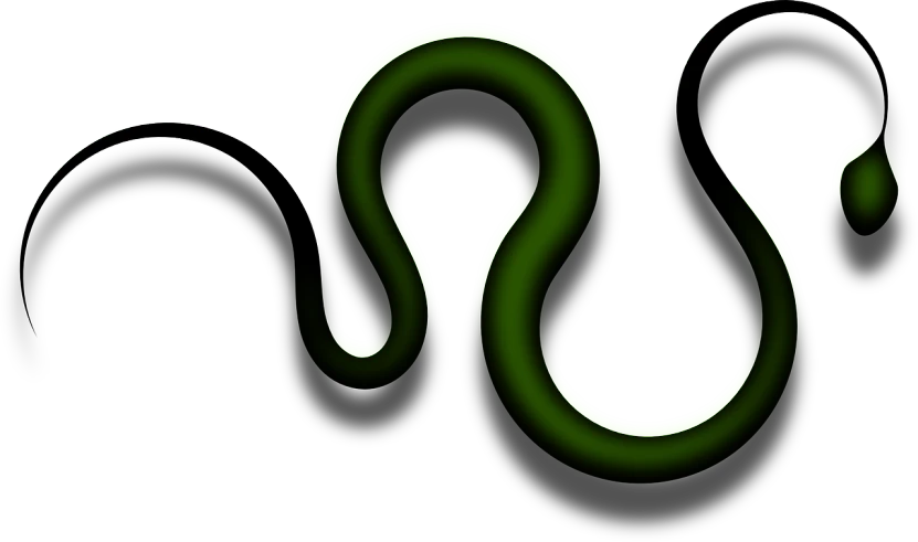 a black and green snake on a white background, a digital rendering, inspired by Shūbun Tenshō, deviantart, serpentine curve!!!, neon and dark, 2 color, black slime