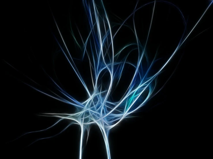 a close up of a flower on a black background, generative art, blue lightnings, branches composition abstract, soft lines, white fractals