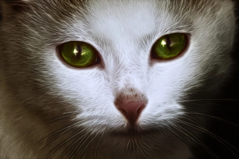 a close up of a white cat with green eyes, a digital painting, shutterstock, airbrush digital art, green supernatural eyes, ethereal soft and fuzzy glow, digital painting”