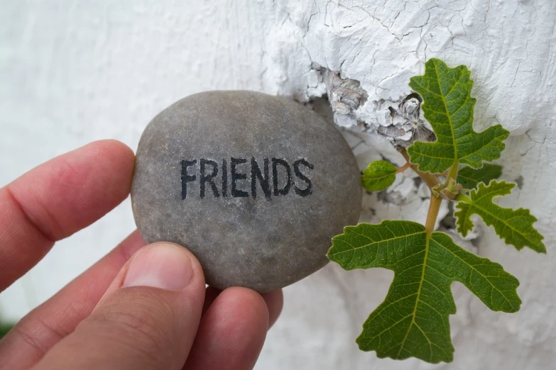 a person holding a rock with the word friends written on it, a picture, trending on pixabay, stems, rock wall, 😃😀😄☺🙃😉😗, best friends