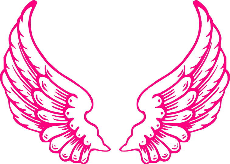 a pair of pink wings on a black background, deviantart, arabesque, shirt design, y2k design, angel halo, color”