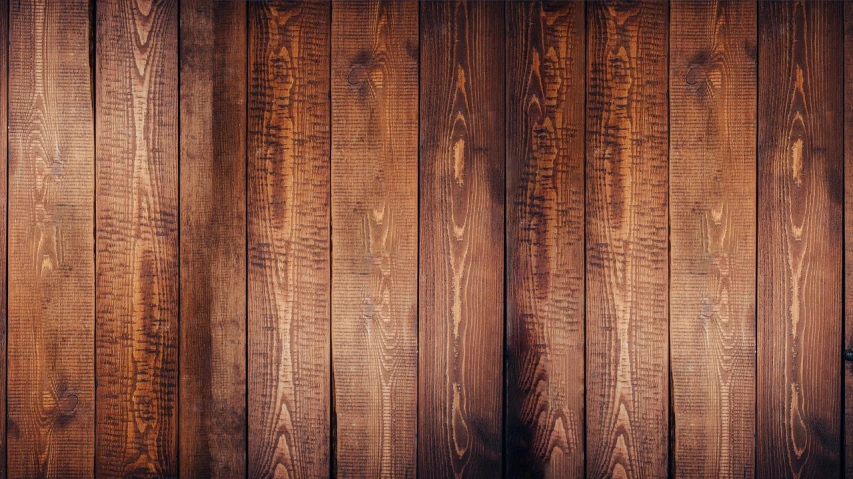 a close up of a wood paneled wall, pexels, renaissance, hardwood floors, having a good time, woodland, photo shoot