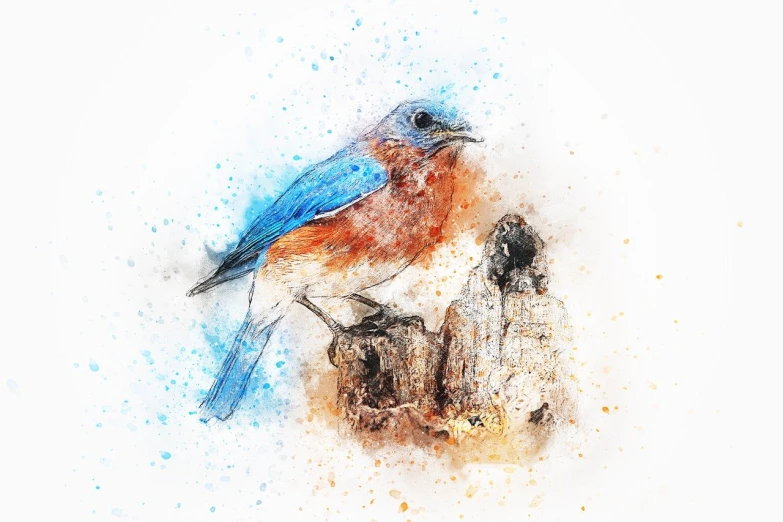 a blue bird sitting on top of a tree stump, a watercolor painting, by david rubín, trending on pixabay, mixed media style illustration, a beautiful artwork illustration, a potrait of a beautiful, rough color pencil illustration