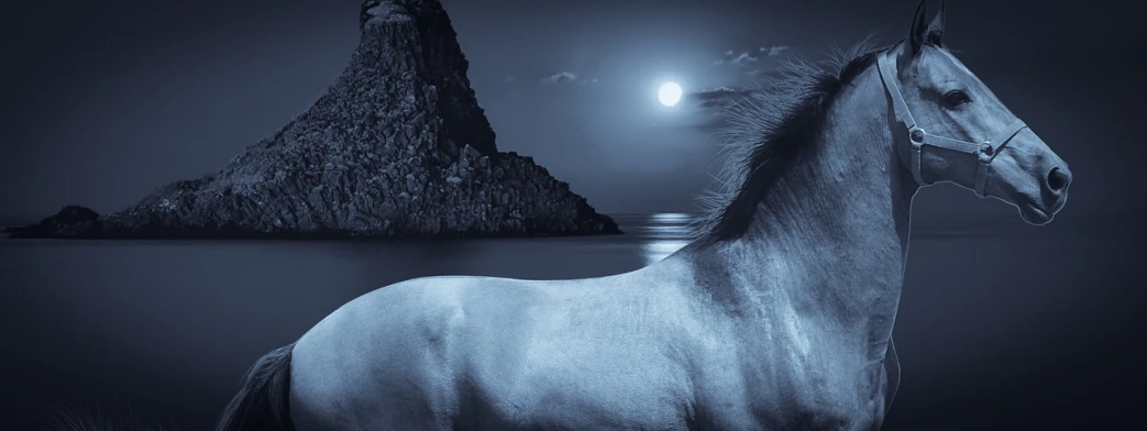 a white horse standing next to a body of water, trending on pixabay, romanticism, moonlit ocean, scenic view at night, best on adobe stock, blue unicorn