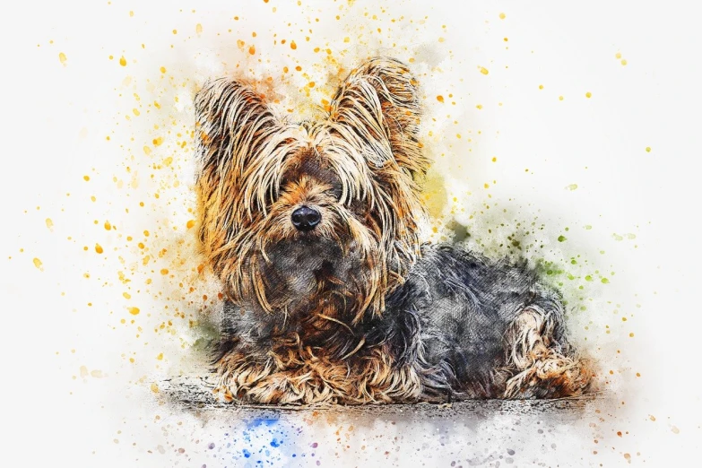 a watercolor painting of a dog laying down, trending on pixabay, art photography, yorkshire terrier, in stunning digital paint, dry brush background colors, on a bright day