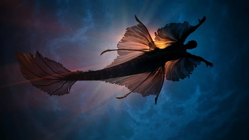 a silhouette of a woman flying through the air, concept art, by Robert Jacobsen, conceptual art, betta fish, photo taken at night, giant dragon flying in the sky, fish tail