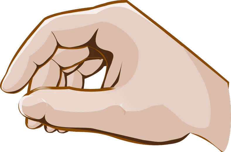 a close up of a person's hand holding something, an illustration of, by Thomas Crane, pixabay, visual art, cell shaded adult animation, facing sideways, wikihow illustration, chocolate