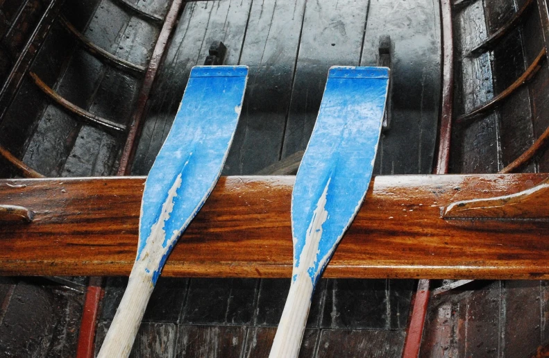 two blue paddles sitting on top of a wooden boat, a portrait, by Richard Carline, flickr, plows, indoor, an ancient, in a row