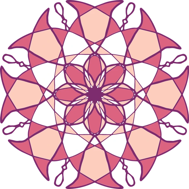 a pink and white flower on a black background, vector art, inspired by Jan Henryk Rosen, arabesque, amethyst stained glass, symmetry illustration, mathematical, shield design