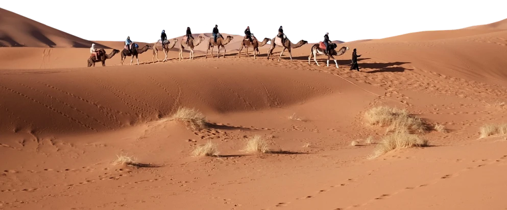 a group of people riding camels across a desert, trending on pixabay, fine art, panoramic photography, high contrast!, luminar ai, 4 0 9 6