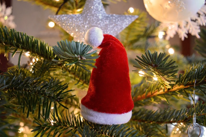 a close up of a christmas ornament on a tree, wearing a santa hat, high quality product image”, cosy, small hat