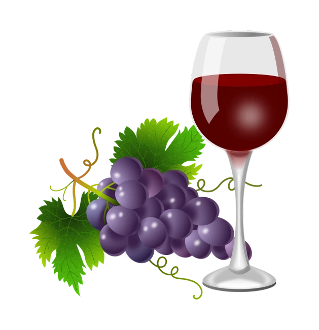 a glass of wine next to a bunch of grapes, a digital rendering, on a flat color black background, a beautiful artwork illustration, transparent background, vignette illustration