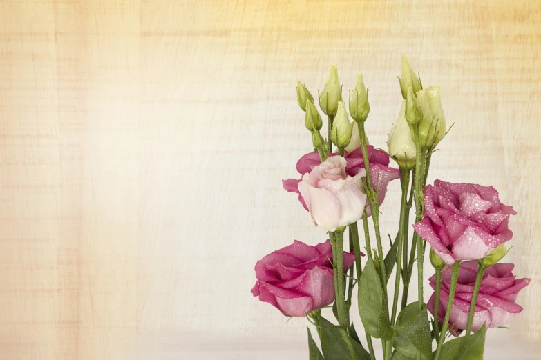 a vase filled with pink and white flowers, a stock photo, romanticism, textured parchment background, colourful roses and gladioli, half body photo, wooden