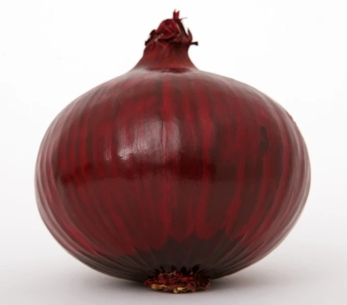 a close up of a red onion on a white surface, a picture, by Unkoku Togan, - h 1 0 2 4, dark red color, big size, nekro petros afshar