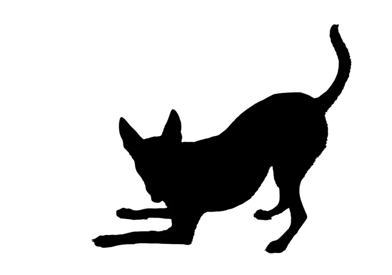 a black and white silhouette of a cat, an illustration of, pixabay, chihuahua, bent - over posture, hunting, rectangular