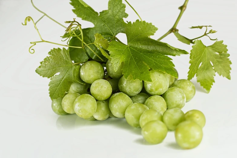 a bunch of green grapes sitting on top of a white table, a picture, by Istvan Banyai, istockphoto, leaves and vines, high detail product photo, slight overcast weather