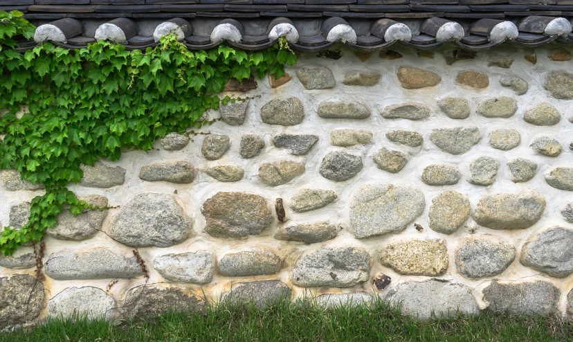 a stone wall with a vine growing on it, inspired by Kim Myeong-guk, flagstones, cottage close up, mid 1 9 th century, medium closeup