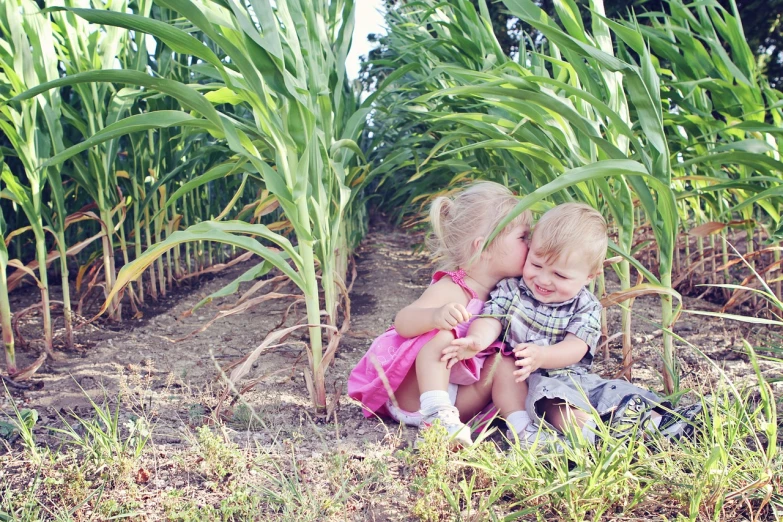 a couple of kids that are sitting in the grass, a picture, by Kristin Nelson, corn, kissing together cutely, maze, full res