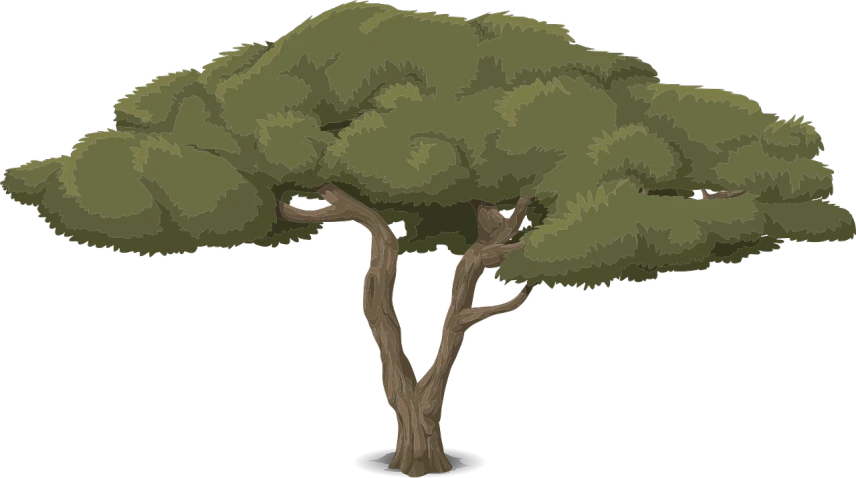 a green tree on a black background, concept art, inspired by Edgar Schofield Baum, hurufiyya, uzumaki, safari background, unfinished, background image