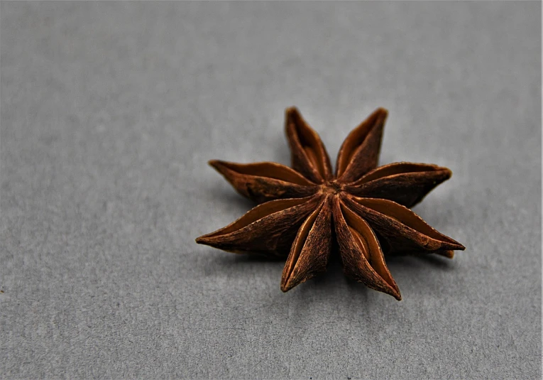 a star anise on a gray surface, by Jesper Knudsen, minimalism, miniature product photo, wikimedia, 中 元 节, rice