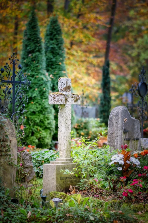 a cemetery filled with lots of tombstones and flowers, a photo, by Eugeniusz Zak, shutterstock, spooky autumnal colours, cross, now i have become death, marketing photo