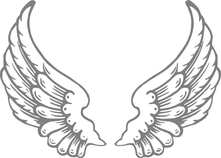 a pair of wings on a black background, inspired by Mór Adler, deviantart, pc screenshot, patch design, [ metal ], cherub