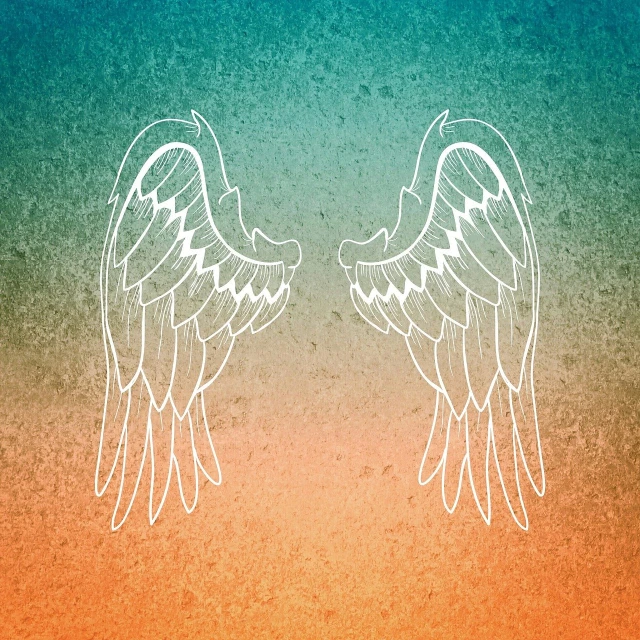 two white wings on a blue and orange background, vector art, by Marie Angel, symbolism, weathered drawing, 4 k hd wallpaper illustration