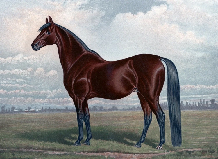 a painting of a horse standing in a field, an illustration of, inspired by John Frederick Herring, Sr., slightly turned to the right, sleek head, restored color, dark chocolate painting