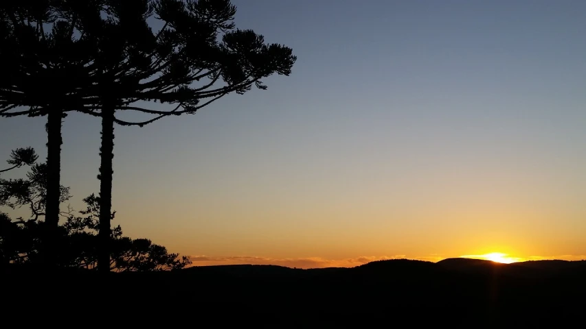 a couple of trees sitting next to each other, a picture, by Lee Loughridge, silhouette over sunset, abel tasman, view from the side, sunset in a valley