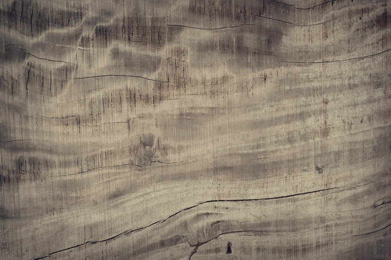 a black and white photo of a wooden wall, a macro photograph, shutterstock, vintage color, dry trees, polished maple, dark beige grey background