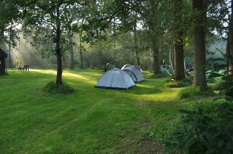 a couple of tents that are in the grass, a photo, by Jan Tengnagel, shutterstock, wooded environment, but very good looking”, back yard, 3 4 5 3 1