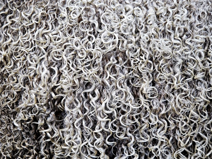 a close up view of a sheep's wool, baroque, silver curly hair, sanjulian. detailed texture, dried vines, high quality product image”