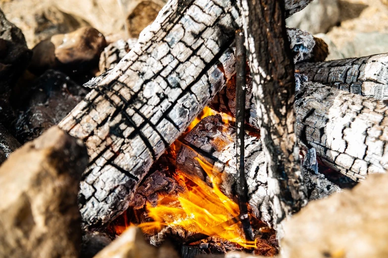 a close up of a fire with rocks in the background, a picture, pexels, figuration libre, high contrast!, warm sunshine, bark, !! very coherent!!