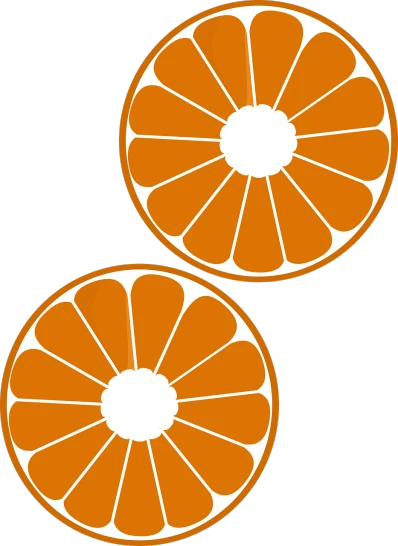 two slices of orange on a black background, vector art, inspired by Masamitsu Ōta, trending on pixabay, sōsaku hanga, circle design, orange roof, various posed, zoomed out