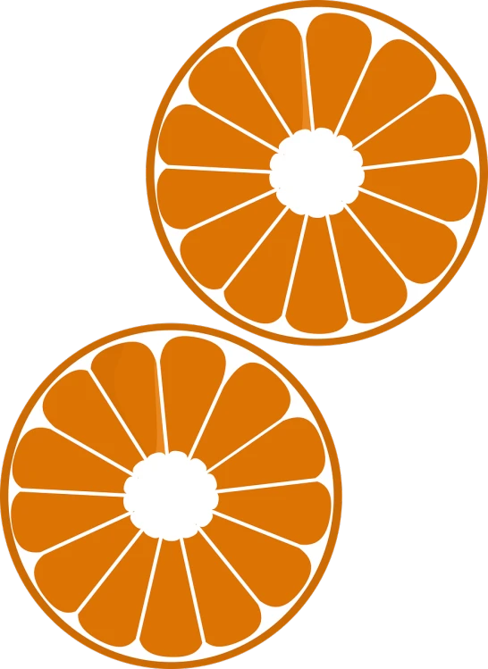 two slices of orange on a black background, vector art, inspired by Masamitsu Ōta, trending on pixabay, sōsaku hanga, circle design, orange roof, various posed, zoomed out