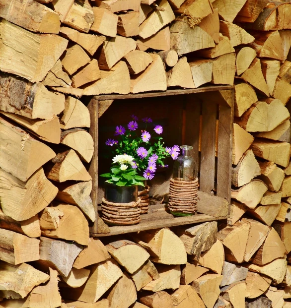 a window that has some flowers in it, by Erwin Bowien, pexels, folk art, wooden logs, fireplace, wooden crates, high details photo
