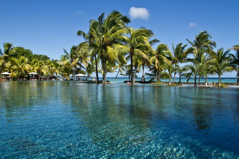 a large body of water surrounded by palm trees, by Stefan Lochner, shutterstock, swimming pool in front, polynesian style, !! very coherent!!, high definition photo