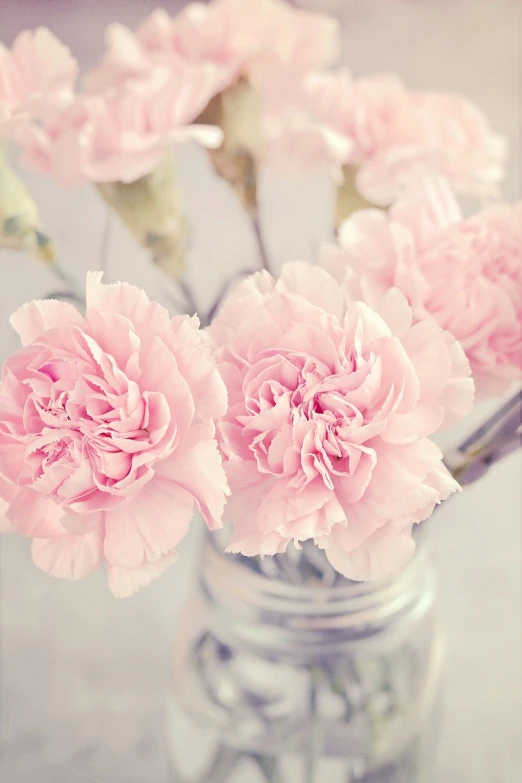 a vase filled with pink carnations sitting on a table, by Phyllis Ginger, pexels, romanticism, vintage closeup photograph, istockphoto, soft bright pastel, 1 6 x 1 6