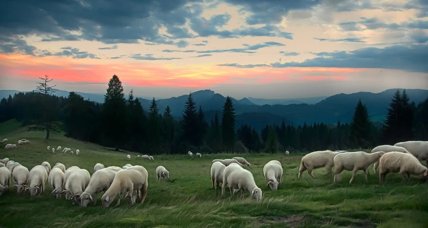 a herd of sheep grazing on a lush green hillside, by Aleksander Kobzdej, shutterstock, romanticism, at twilight, dinner is served, high quality screenshot, wide angle”