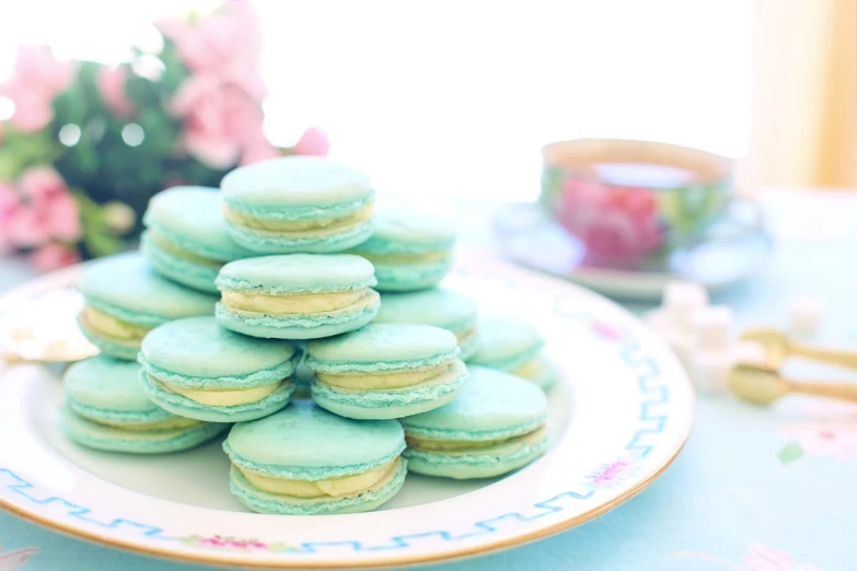 a close up of a plate of macarons on a table, tumblr, rococo, blue and green, bright ”, tea, canada