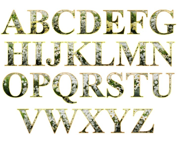a close up of the upper and lower letters of a font, a digital rendering, shutterstock, mossy, isolated on white background, blossoms, camo