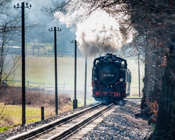 a train traveling down train tracks next to a forest, a portrait, by Jörg Immendorff, shutterstock, brass and steam technology, sunny day time, majestic sweeping action, winter sun