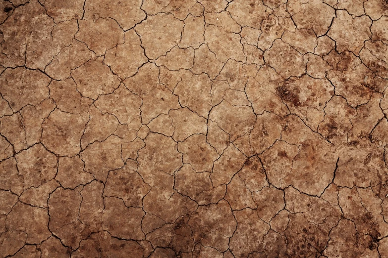 a wall that has some dirt on it, pexels, cracked earth, savana background, moist brown carpet, frida castelli