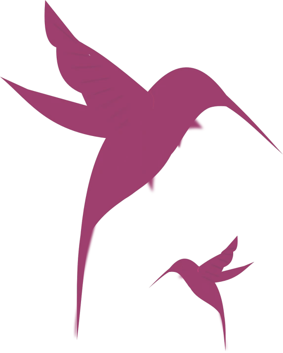 a couple of birds flying next to each other, concept art, pixabay, hurufiyya, fuchsia skin, logo without text, background image, black-crimson color scheme