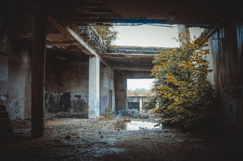 an abandoned building with a tree in the middle of it, a picture, pexels, brutalism, under bridge, dead plants and flowers, background in a cinematic, military base