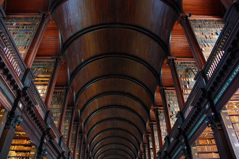 a long room filled with lots of books, by Eamon Everall, flickr, archs and columns, wooden ceiling, trinity, towering over your view