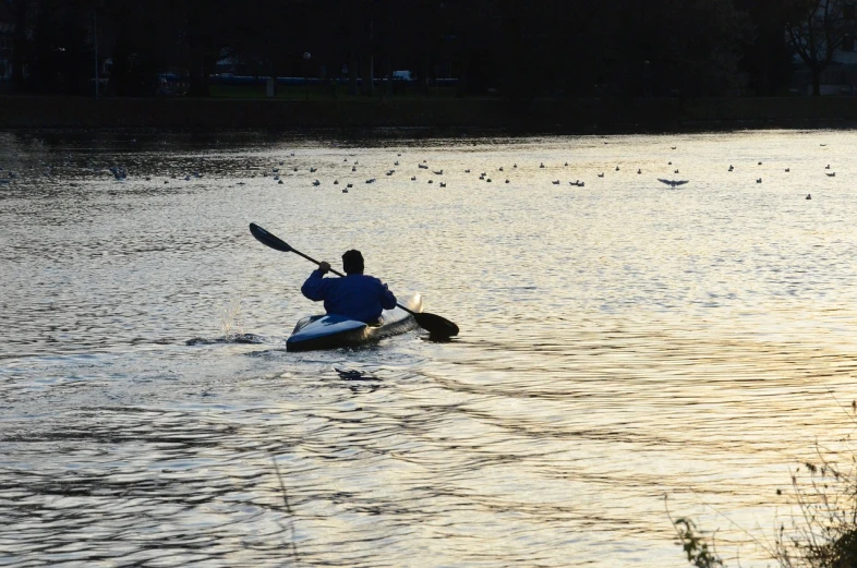 a person on a kayak in a body of water, a picture, flickr, spring evening, esher, ducks, high res photo